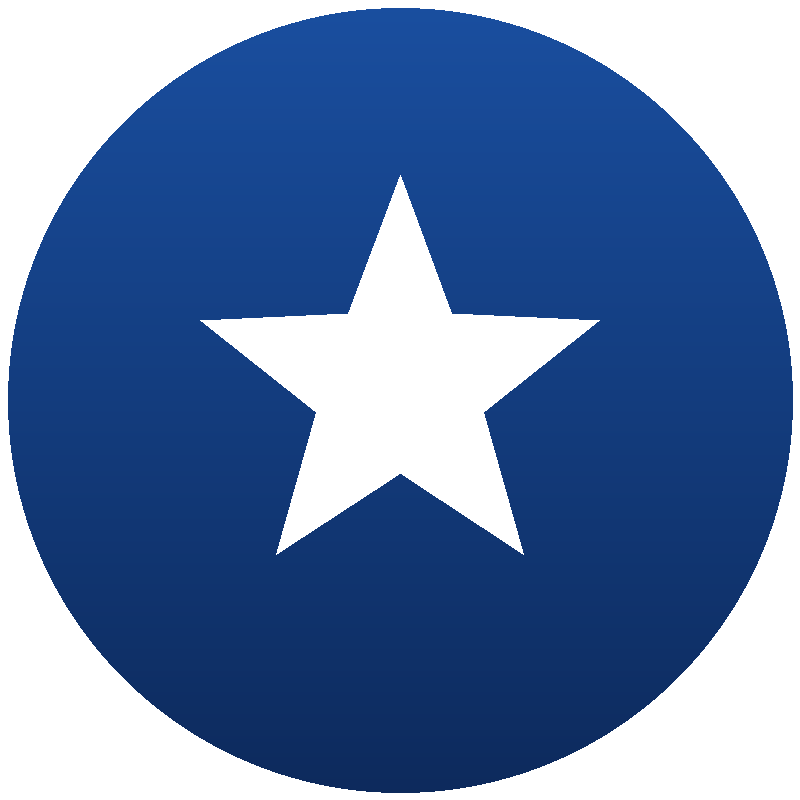 BridgieNix4Nevada logo